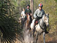 international/USA/2009FITS/gallery/AngieMcGhee/thumbnails/Steve Rojek Daryl Do%23A0009.jpg